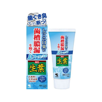 小林製薬 生葉I 息スーッと実感 100g FCB8967