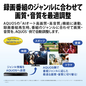 シャープ 4TB HDD/4Kチューナー内蔵ブルーレイレコーダー AQUOS ブルーレイ 4B-C40GT3-イメージ6