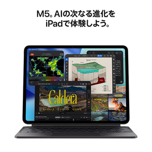 Apple 13インチiPad Pro Wi-Fiモデル 1TB(Nano-textureガラス搭載) 13インチiPad Pro Wi-Fiモデル シルバー MDYR4J/A-イメージ4