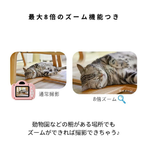 レクリッド ミニピク MINIPIC-PB-O パステルホワイト MINIPIC-PWH-Oﾊﾟｽﾃﾙﾎﾜｲﾄ-イメージ11