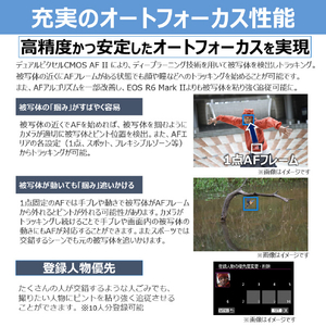 キヤノン EOS R8 Mark II・ボディー ブラック EOSR8MK2-イメージ12