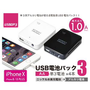 JTT 単3電池式USBバッテリー ブラック USBDP3-BK-イメージ4