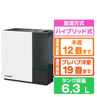 ダイニチ 700ml/h 6．3Lタンク ハイブリッド式加湿器 e angle select ホワイト×ブラック HD-RXT726E6-WK