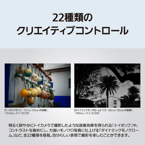 パナソニック デジタルカメラ LUMIX グラファイトシルバー DC-TX3-S-イメージ10