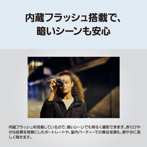 パナソニック デジタルカメラ LUMIX グラファイトシルバー DC-TX3-S-イメージ12