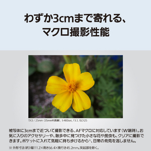 パナソニック デジタルカメラ LUMIX グラファイトシルバー DC-TX3-S-イメージ6