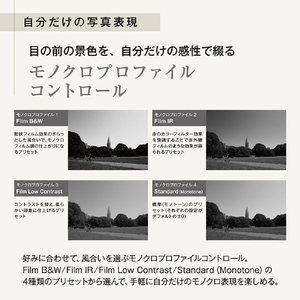 OM SYSTEM OM SYSTEM PEN ボディｰ BLK ブラック OMSYSTEMPENBLK-イメージ8