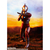 バンダイスピリッツ S．H．Figuarts ウルトラマンジャック SHFｳﾙﾄﾗﾏﾝｼﾞﾔﾂｸNNN-イメージ8