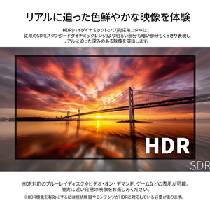 JAPANNEXT 液晶ディスプレイ ブラック JN-IPS43U2-M-イメージ7