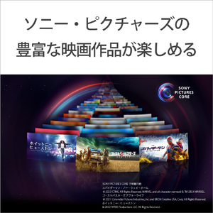 SONY 43V型4Kチューナー内蔵4K対応液晶テレビ BRAVIA X75WLシリーズ KJ-43X75WL-イメージ6