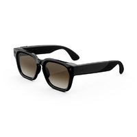 Meta Glasses Fury クラシックブラック/ブラウングラディエントレンズ SK-1001895-01