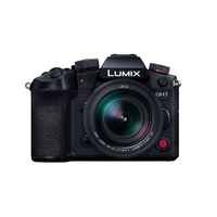 パナソニック デジタル一眼カメラ・標準ズームレンズキット LUMIX GH7 DC-GH7L