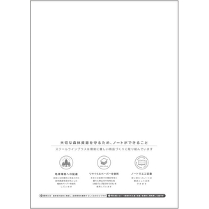 キョクトウ スクールラインプラス 10mm方眼罫 セミB530枚イエロー FC638TG-LSP10Y-イメージ3