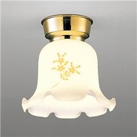 ダイコウデンキ LED小型シーリングライト DXL-81036