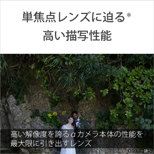 SONY デジタル一眼カメラα[Eマウント]用レンズ FE 50-150mm F2 GM SEL50150GM-イメージ10