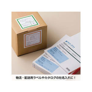 ヒサゴ エコノミーラベル A4 20面 30枚 F044826-ELM010S-イメージ3