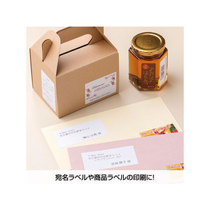 ヒサゴ エコノミーラベル A4 20面 30枚 F044826-ELM010S-イメージ5
